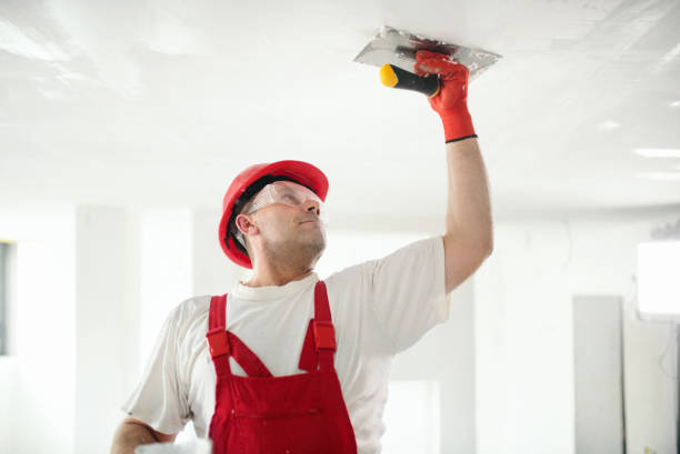 Best Water-Damaged Drywall Repair  in Sheridan, WY